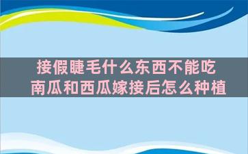 接假睫毛什么东西不能吃 南瓜和西瓜嫁接后怎么种植